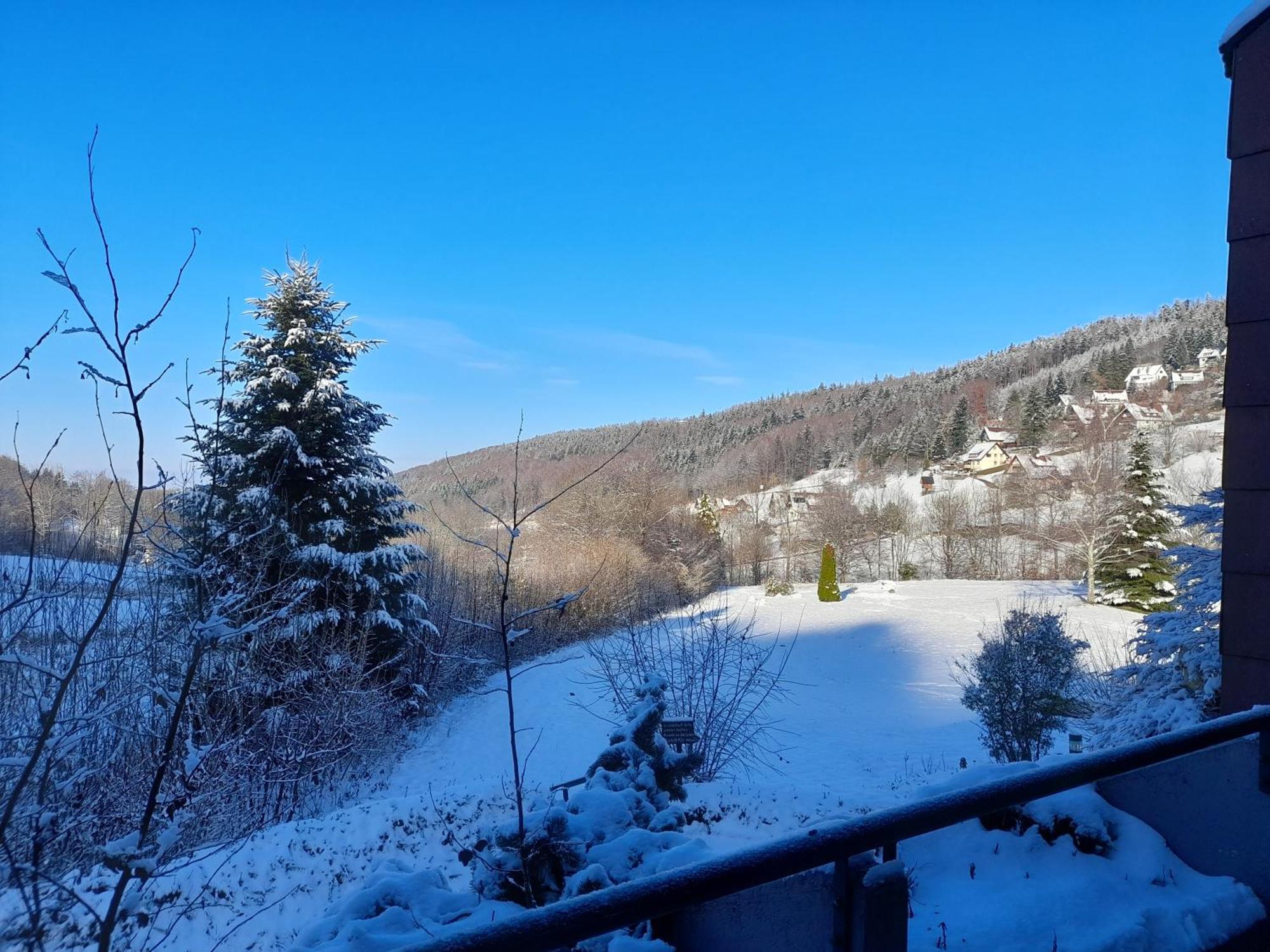 Schwarzwald Pur Apartment Sasbachwalden Ngoại thất bức ảnh