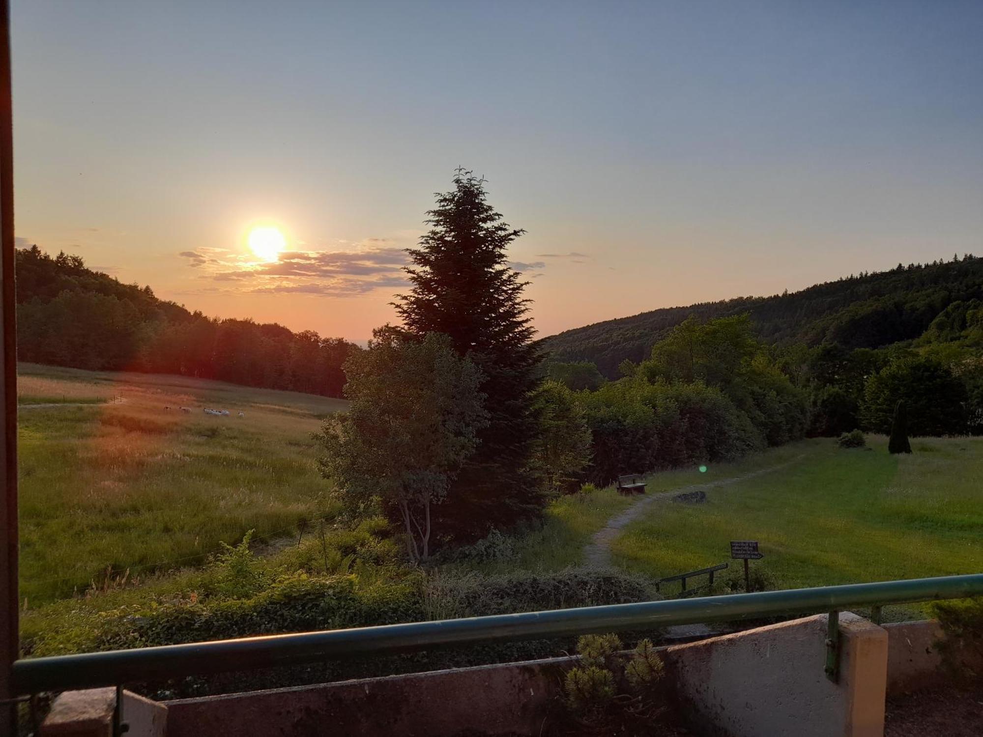 Schwarzwald Pur Apartment Sasbachwalden Ngoại thất bức ảnh