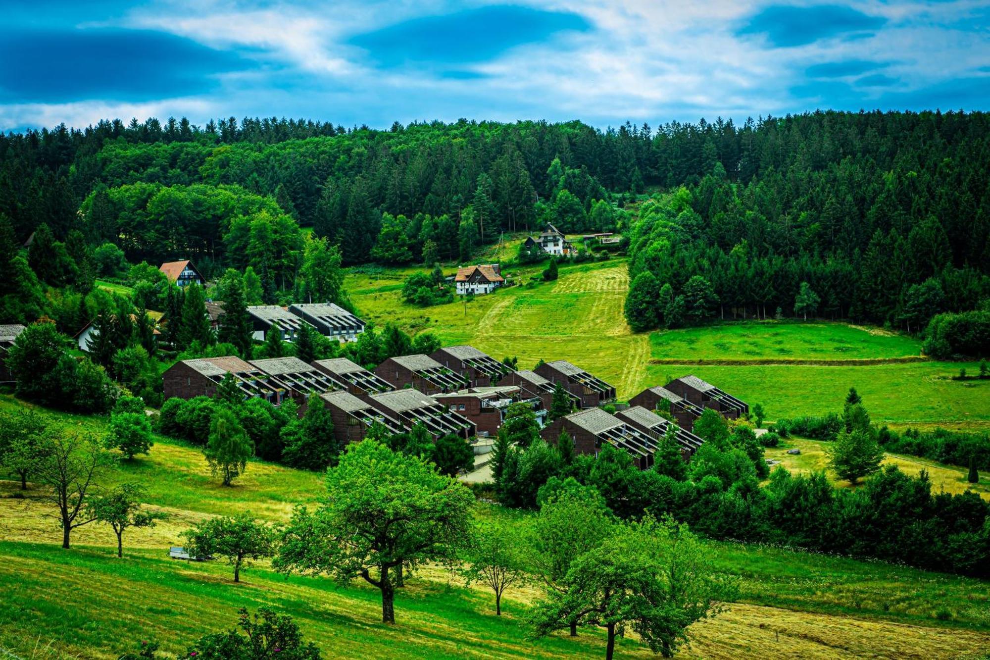 Schwarzwald Pur Apartment Sasbachwalden Ngoại thất bức ảnh