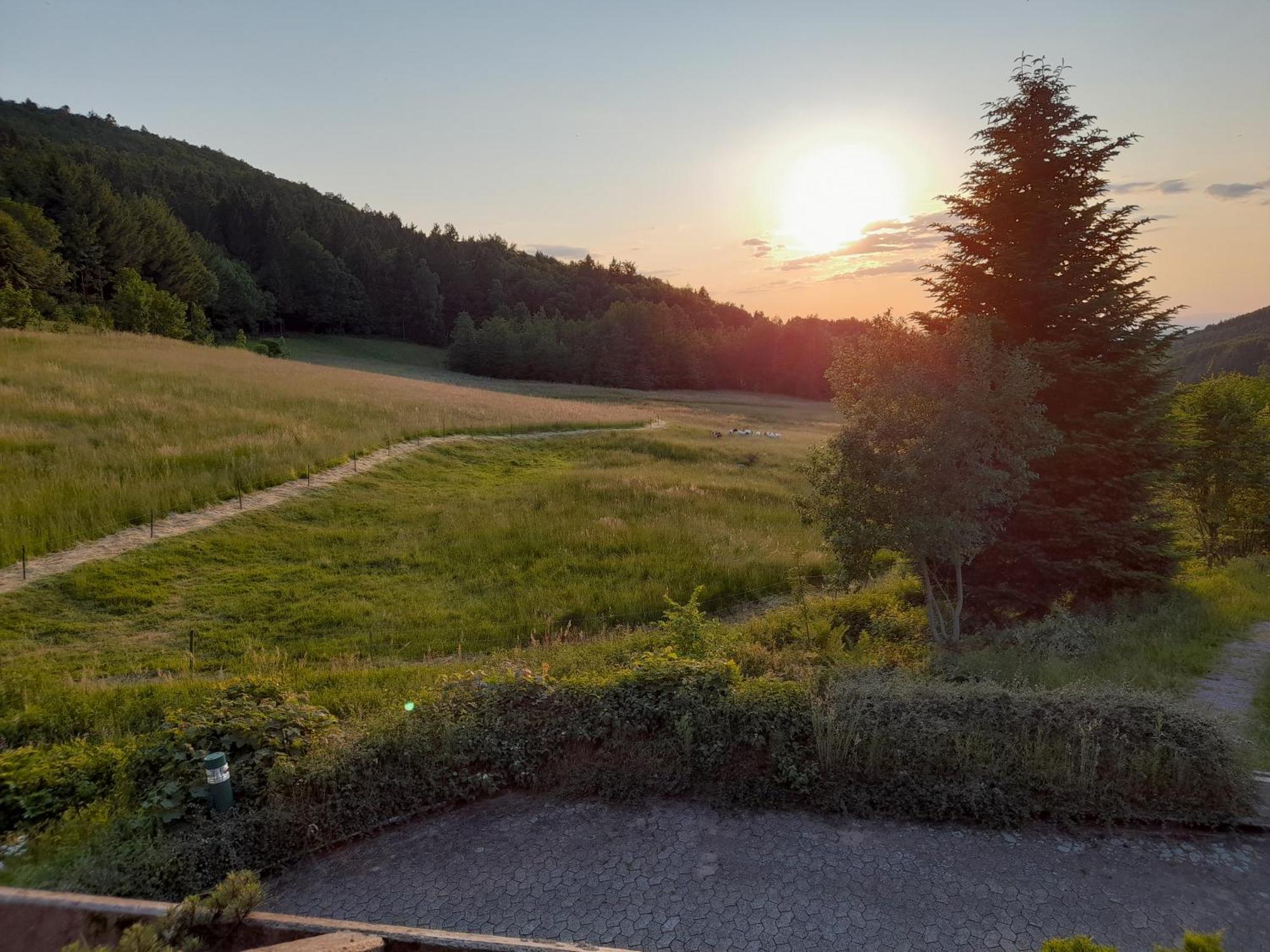 Schwarzwald Pur Apartment Sasbachwalden Ngoại thất bức ảnh